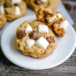 OMG Peanut Butter Marshmallow Cookies