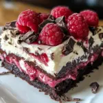 Raspberry Chocolate Lasagna