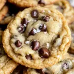 Chocolate Chip Pudding Cookies